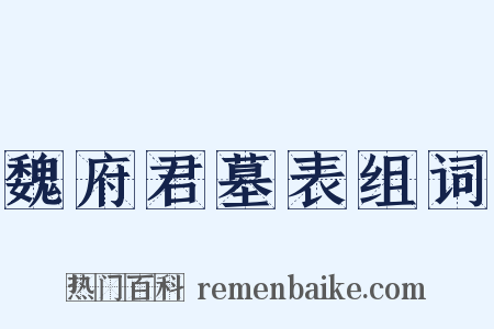 魏府君墓表组词是什么意思的图片